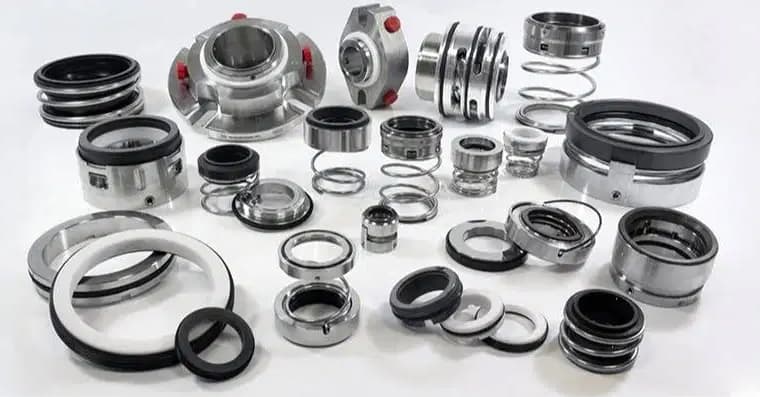 Mech Seal